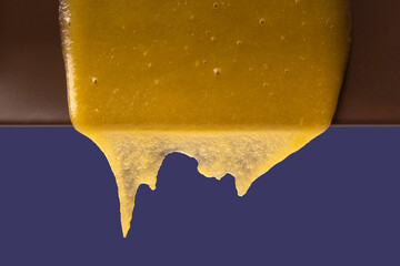 Fresh flower honey flows down from the plate. vitamin organic food