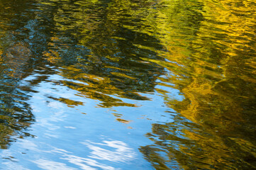 Fototapeta na wymiar Wasser Spiegelung von grünen Bäumen und blauem Himmel