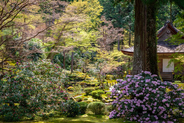 春の京都・大原の三千院で見た、色鮮やかな緑やピンクの花が咲く有清園の風景