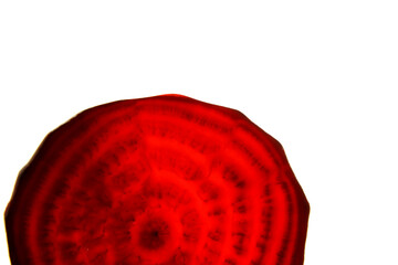 Beet root is a root vegetable known as red beet, table beet or garden beet