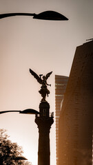 The Angel of Independence in Mexico city on Reforma av at sunset
