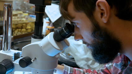 Biologist adjusts microscope to look at preserved specimen in laboratory