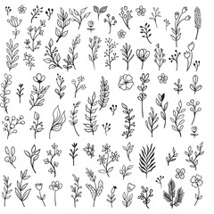 Vector branches and leaves. Hand drawn floral elements. Vintage botanical illustrations. Doodle nature ornaments.