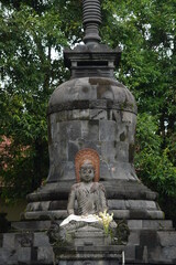 Buddha statue with stupa and leaves in the background