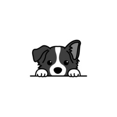 Cute border collie puppy peeking cartoon, vector illustration - obrazy, fototapety, plakaty