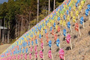 色とりどりの風車
