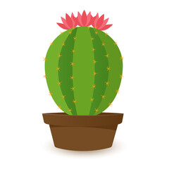 Cactus icons in flat style on white background. Homemade cactus in a pot and flowers. Variety of decorative cacti with thorns