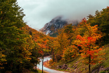 Fall landscape in the fog