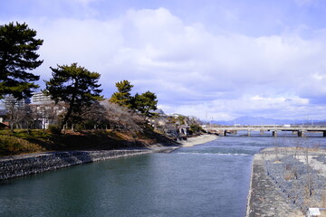 Obraz premium 宇治川中洲の橘島から宇治橋を望む。