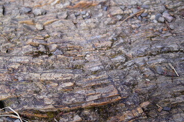 宇部大吉山の展望台に登る。
山道の岩面。