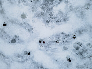 A group of fishermen catches fish on winter fishing