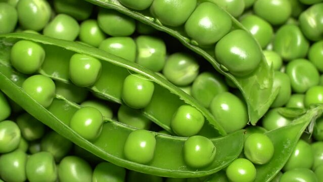 Fresh green peas rotation. Loop motion