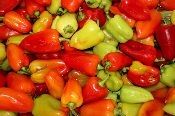sweet bell pepper paprika