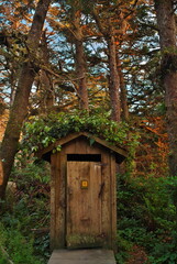 Fototapeta na wymiar Wooden outhouse in a beautiful forest setting on Vancouver Island in Canada