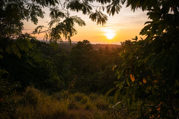 Golden sunset in the forest. Romblon, Philippines