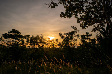 Obraz na płótnie Canvas Golden sunset in the grass fields. Romblon, Philippines