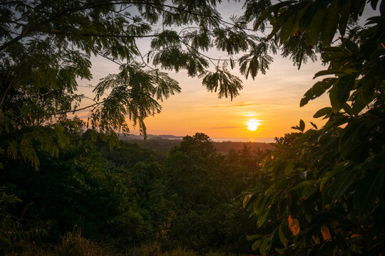 Golden sunset in the jungle. Romblon, Philippines