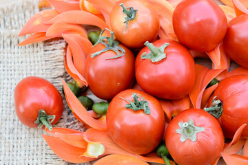 Ripe red tomatoes
