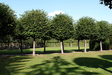 park of culture and rest