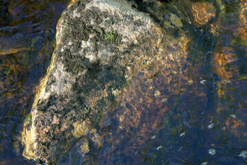 the texture of the stone