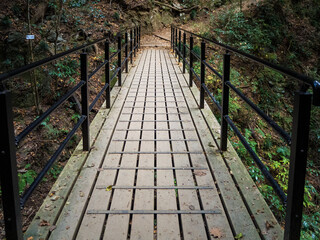 森の中の川を渡るための木の橋
