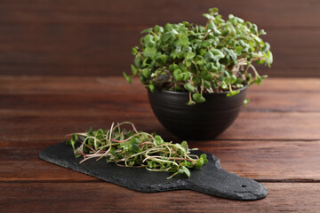 Bowl and slate board with fresh radish microgreens on wooden table