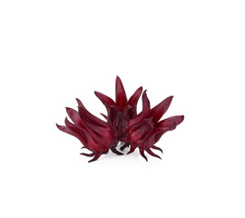 fresh roselle fruits isolated on white background