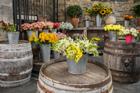 Outdoor showcase of a flower shop in Europe