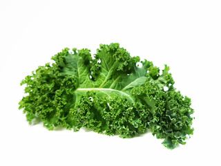 Kale isolate on white background.Dark green leafy vegetables that are famous for food or super food.