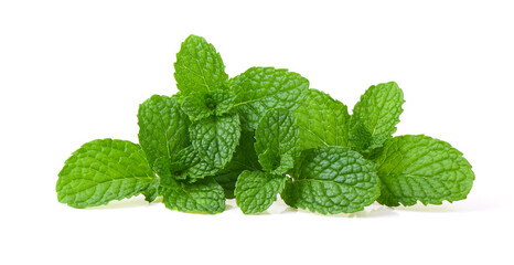 Mint leaves on white background