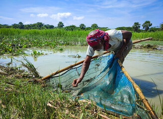 Village fisherman fishing with a lave net in hand from a lake, rural old man is working beside a river, Bangladeshi fisherman with white dress and towel in head