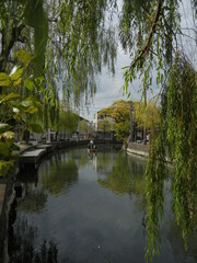  A scene of a riverside district of Yanagawa City in Fukuoka Prefecture in Japan 日本の福岡県柳川市の水郷地帯の一風景
