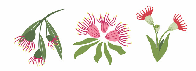 Branch Eucalyptus flower. Pink flower hand-drawn on a white isolated background. Decorative botanical element. A colorful flowering plant. Vector illustration in doodle style. © Natur19