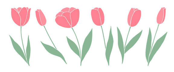 Obraz premium Set of pink tulips isolated on white