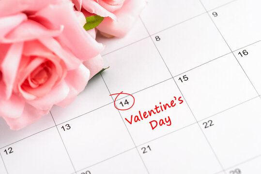 14th Feb Valentine's Day Marked on Calendar Date With Pink Rose - Powered by Adobe