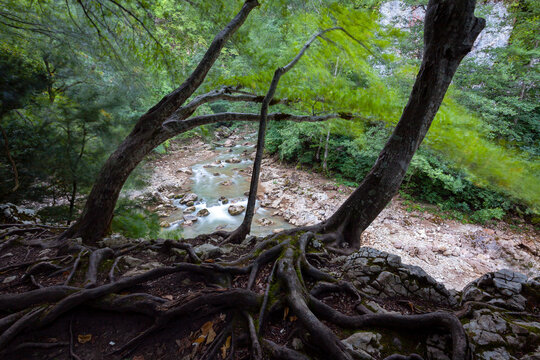 Mountain river in the Guam Gorge. Republic of Adygea. Russia.