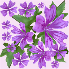 group of lilac color flowers isolated on light background