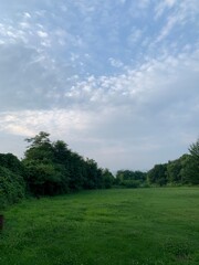 넓은 잔디와 나무가 있는 공원, 캠핑장 / A park with large grass and trees, a camping site