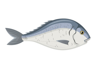 Dorado, illustration of a marine animal in cartoon style, fish