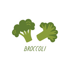 Broccoli on a white background. Vector flat illustration with green vegetables. Organic plant food