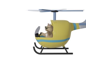 Cat and Helicopter