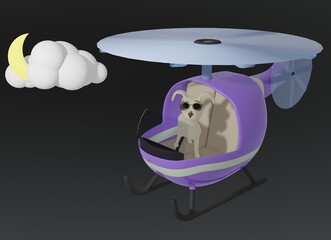 Dog and Helicopter and night