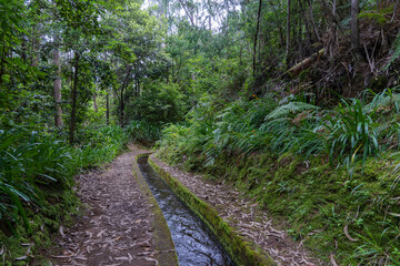 Hiking path in the forest by Levada do Rei