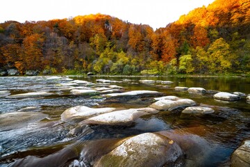 River rapids with autumn forests on banks