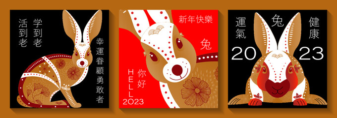 Set of banners of Chinese New Year. Translation of hieroglyphs: Rabbit, happy new year, luck, health, luck loves the brave, live to old age, study to old age, hello.