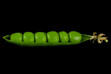 Peas with bean on black