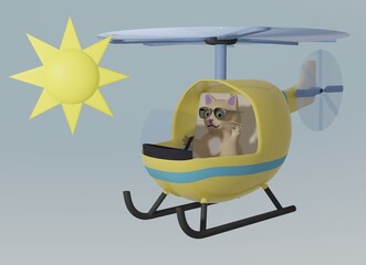 Cat and Helicopter and sunny sky