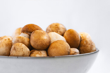 mushrooms champignon in  bowl on white background
