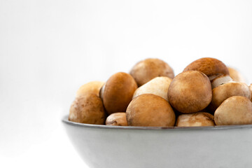 mushrooms champignon in  bowl on white background