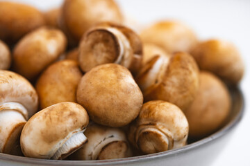 Fresh  mushrooms champignon in  bowl on white background.  Copy space.